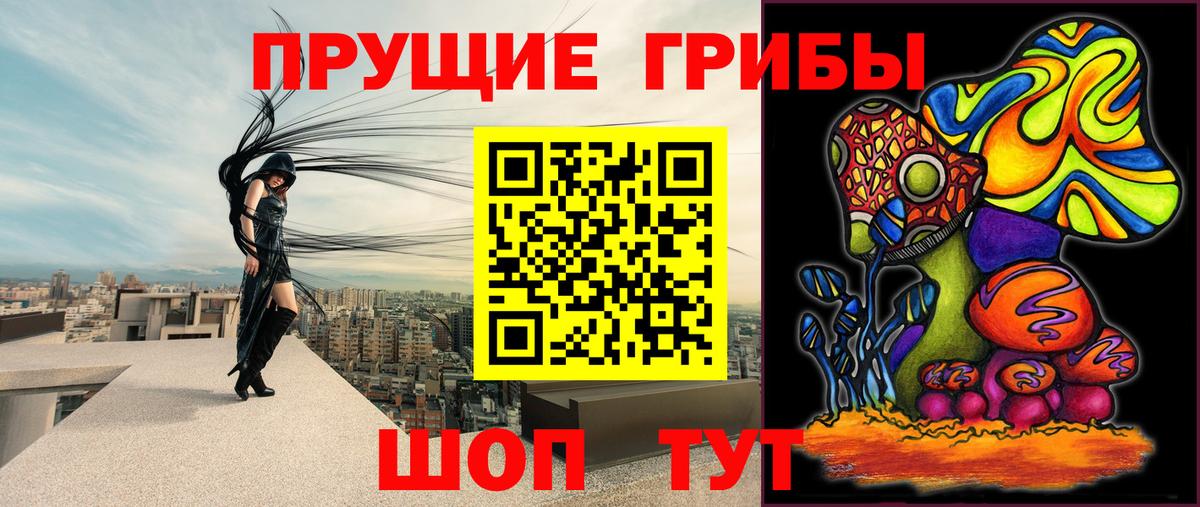 Галлюциногенные грибы мицелий  Вход с VPN  Алексеевка  наркотики  Галлюциногенные грибы Psilocybine cubensis 